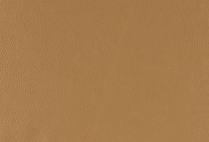 Natuzzi Leather Grade 10