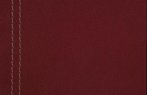 Natuzzi Leather Grade 20