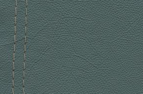 Natuzzi Leather Grade 20
