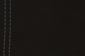 Natuzzi Leather Grade 20