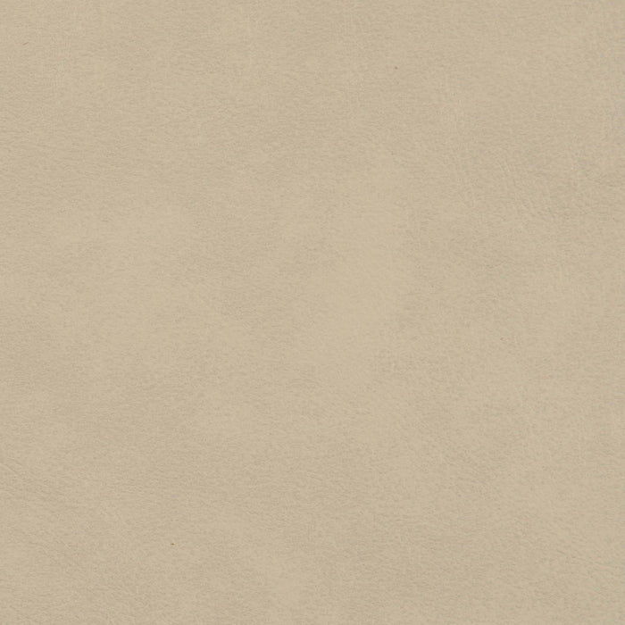 Bernhardt Lioni Swatch