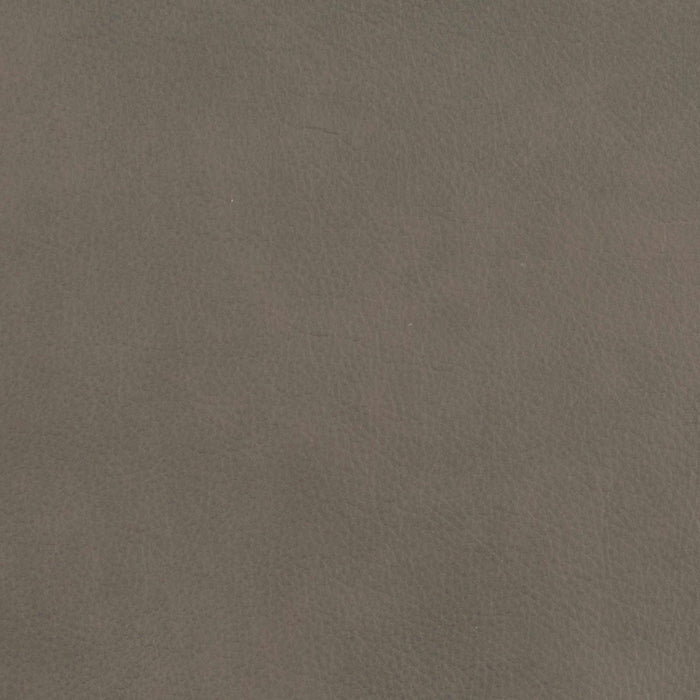 Bernhardt Lioni Swatch