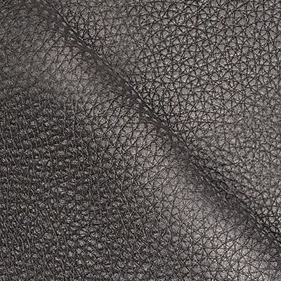 Axel Onyx leather swatch