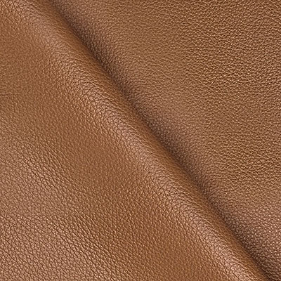 Bison Butterscotch leather swatch