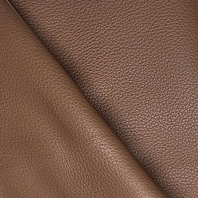 Bison Desert leather swatch