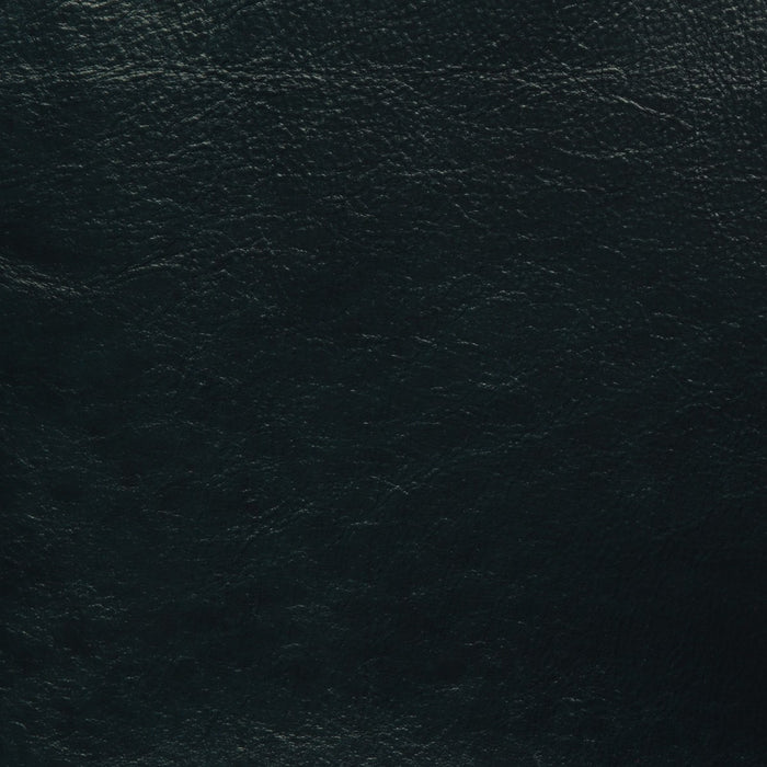 GTRX Grade C - leatherfurniture