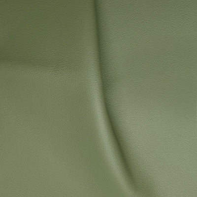 Elmosoft Moss leather swatch
