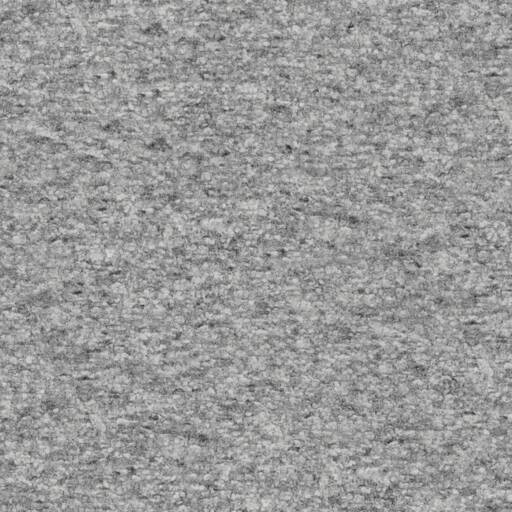 Omnia Slofa Fabric