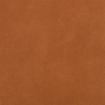 Mojave Spice leather swatch