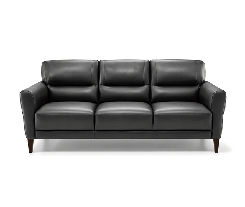 Natuzzi-Indimenticabile-C131-leather-Sofa-2