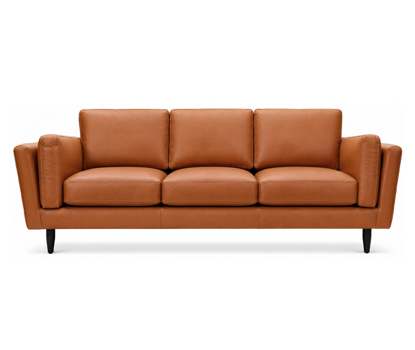 Omnia-Zander-Leather-Sofa-2