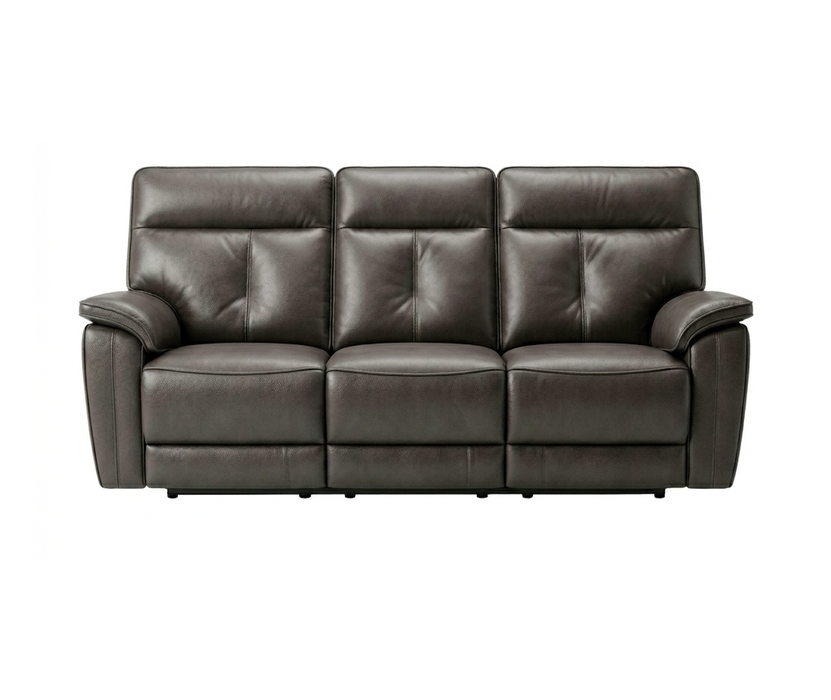 Palliser-Oakley-41187-Leather-Sofa-2