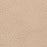 Titan Champagne leather swatch