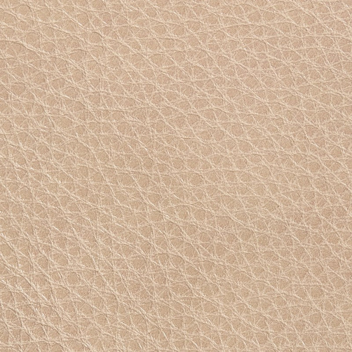 Titan Champagne leather swatch
