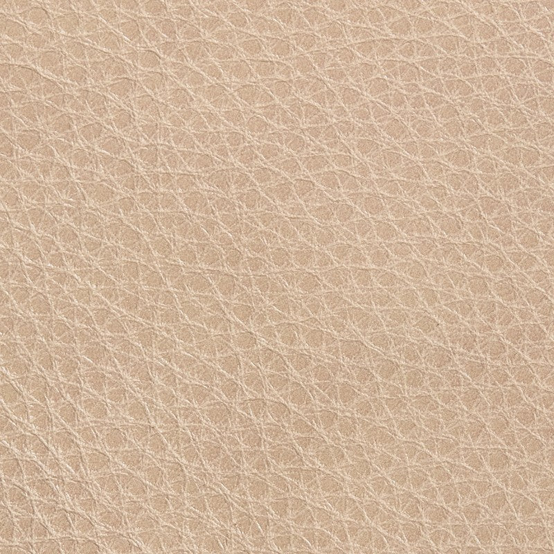 Titan Champagne leather swatch