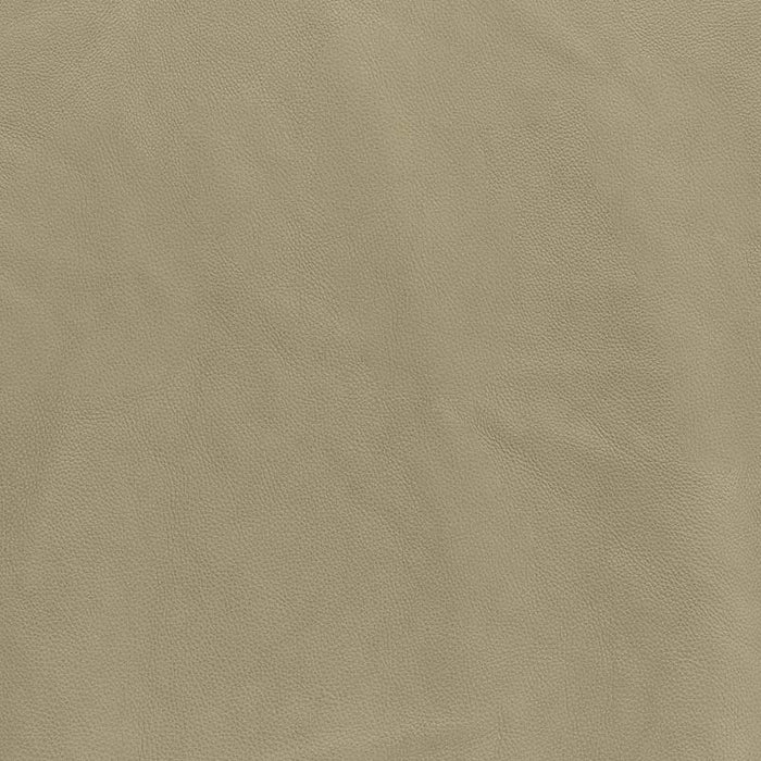 American Leather Grade C