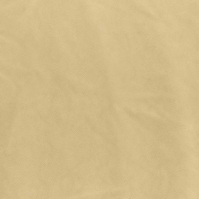 American Leather Grade C