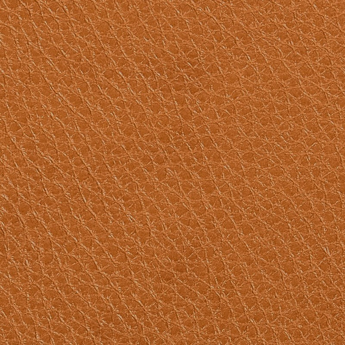 Titan Spice leather swatch
