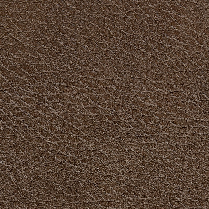 Titan Truffle leather swatch