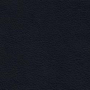IMG SP5100 Swatches