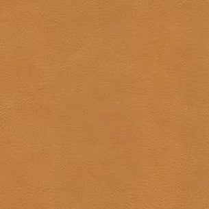 IMG Boss Swatches