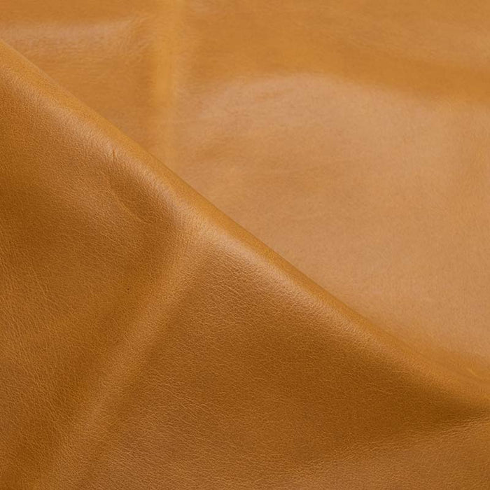 Umbria Butterscotch leather swatch