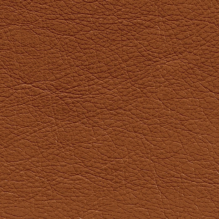 Omnia Leather Grade 2