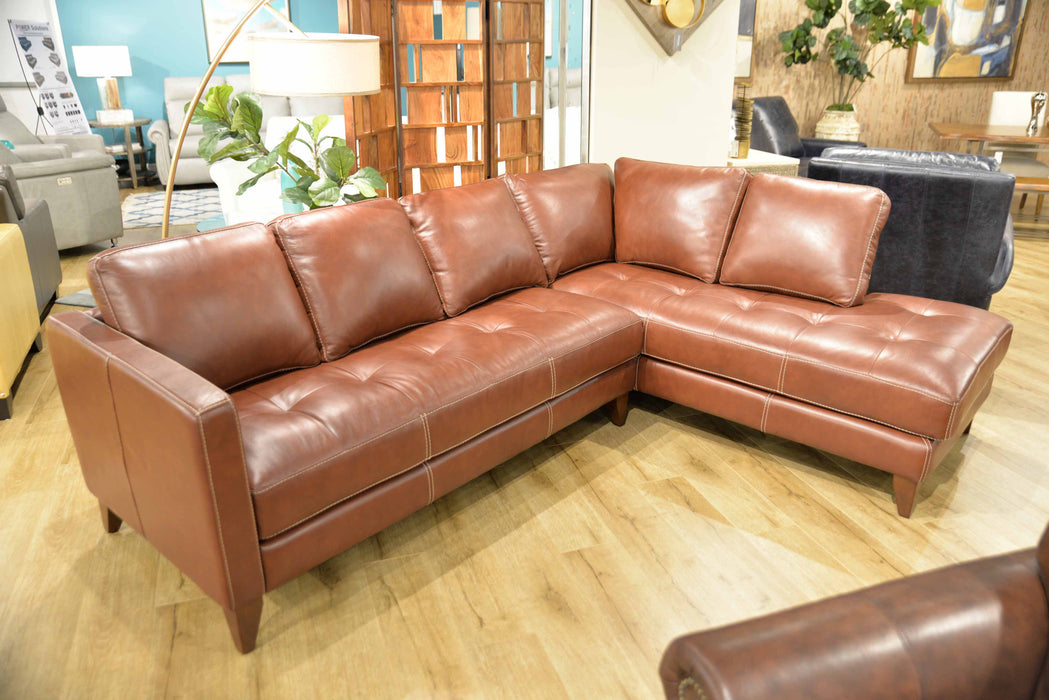 Omnia Hartford Sectional - leatherfurniture